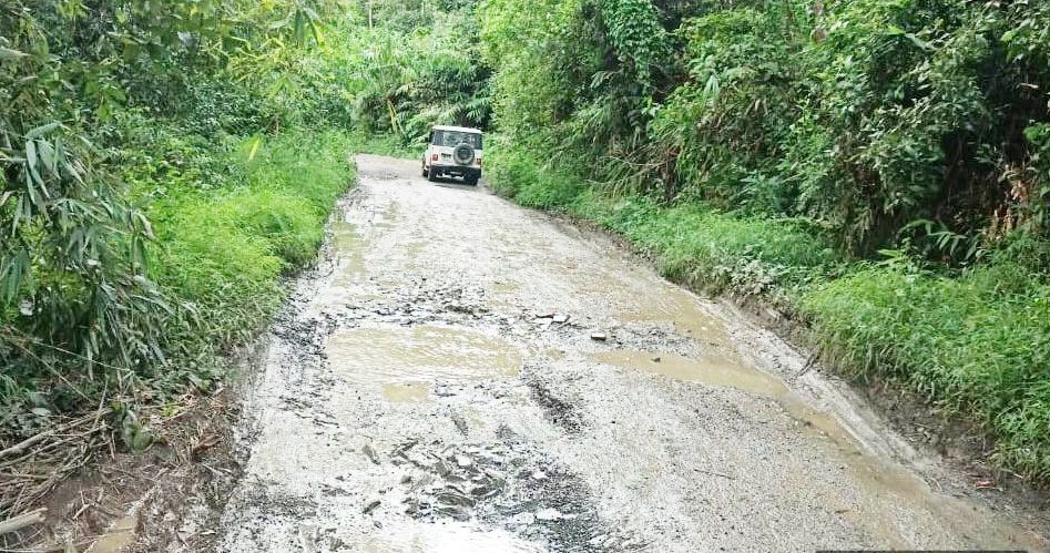 Waterlogged potholes and overgrown vegetation along the National Highway 702 between Zunheboto and Mokokchung. (Photo Courtesy: ZCCI)